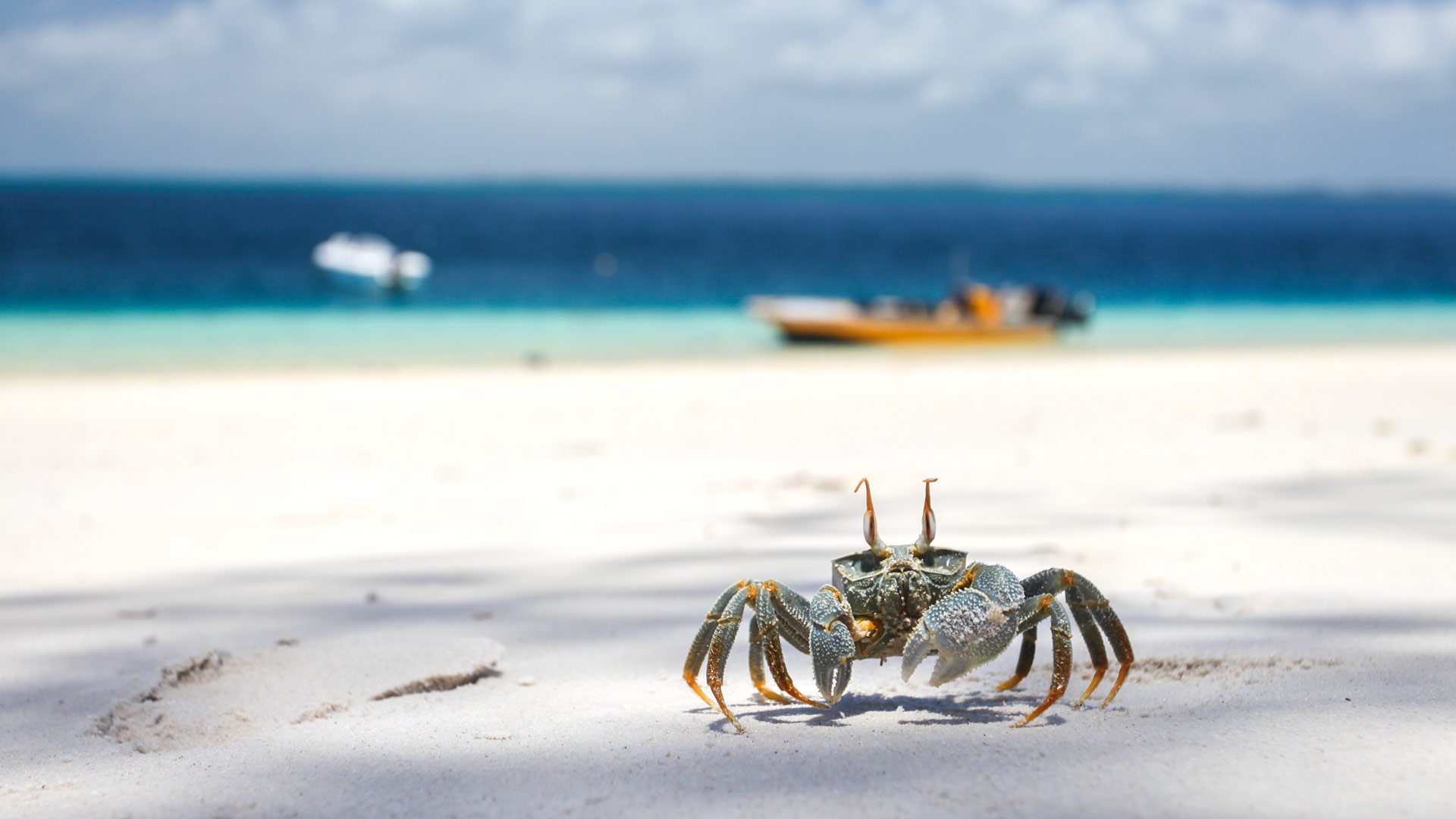 Pemba Island