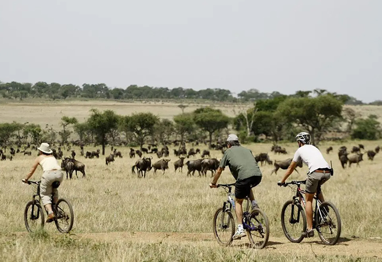 Biking Safari