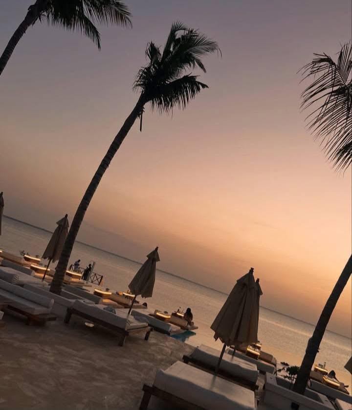 Palm trees in Zanzibar